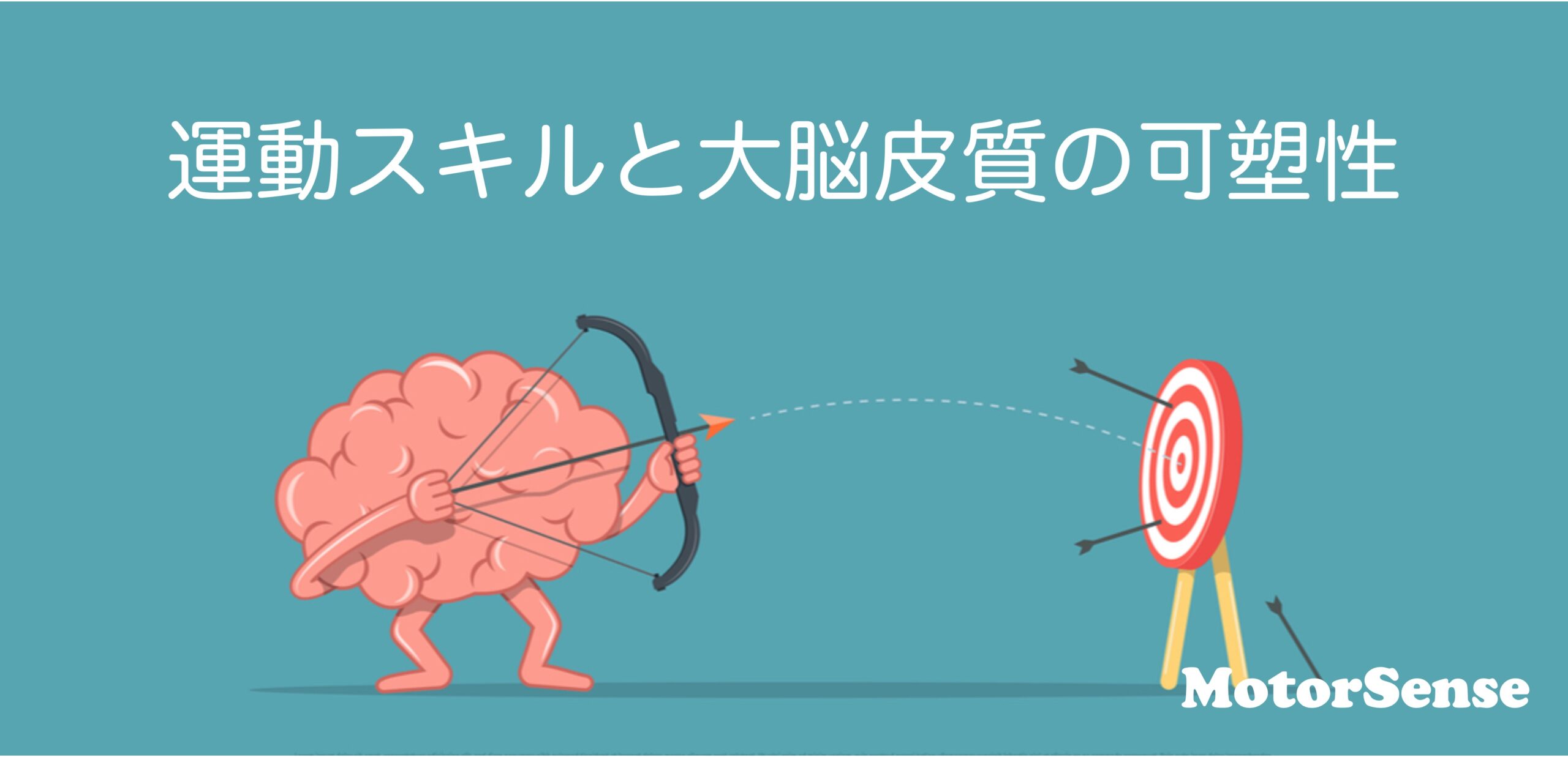 運動スキルと大脳皮質の可塑性　脳卒中(脳出血／脳梗塞)リハビリ