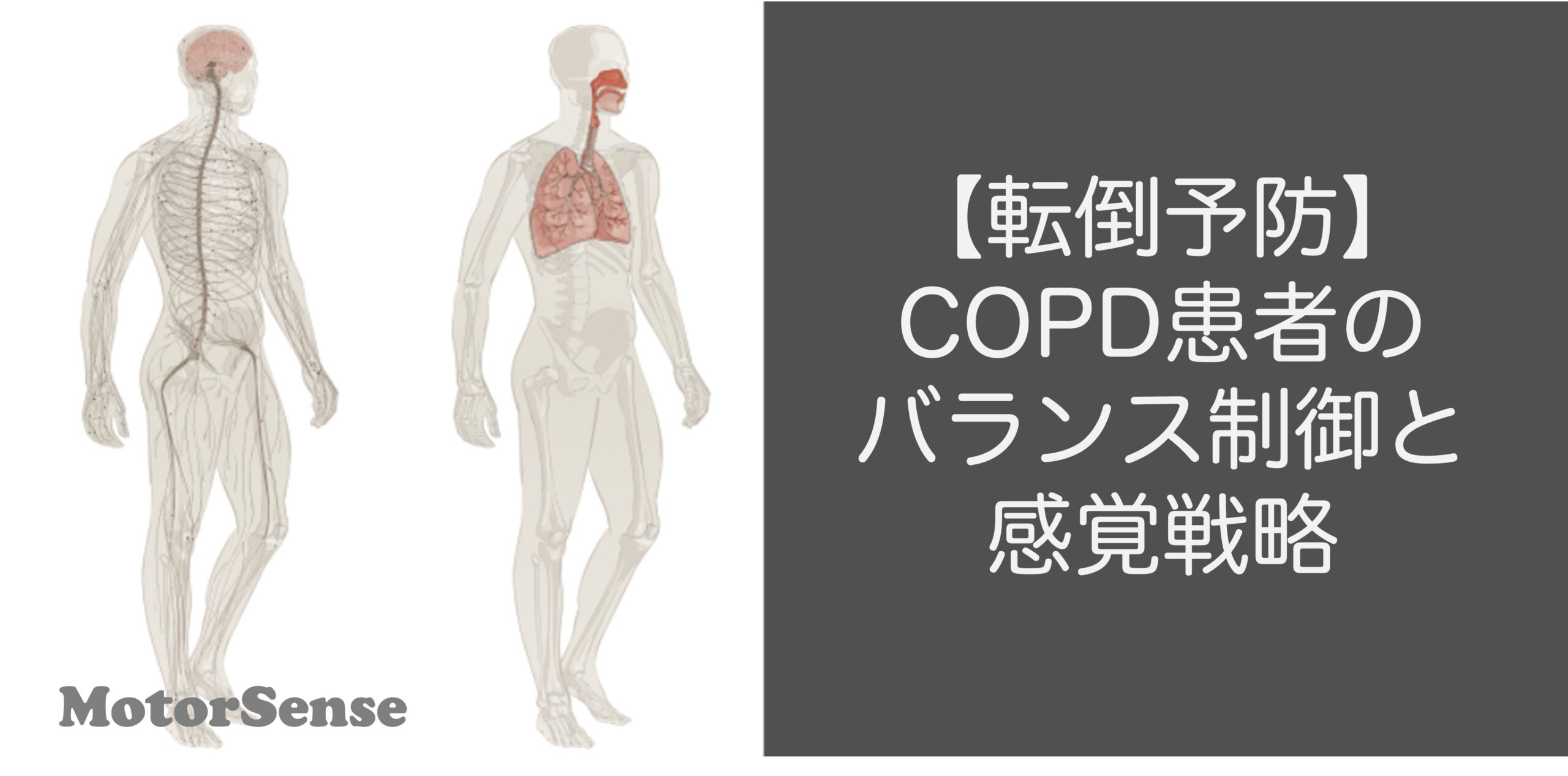 【転倒予防】COPD患者のバランス制御と感覚戦略