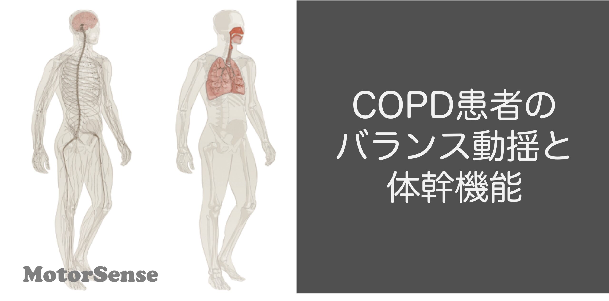 COPD患者のバランス動揺と体幹機能