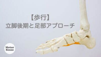 ARCH 03 動物理学療法・リハビリテーション　2016 処方 動物理学療法リハビリテーション2016 2冊セット