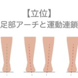 【立位】足部アーチと運動連鎖　整体／リハビリ【十勝帯広】