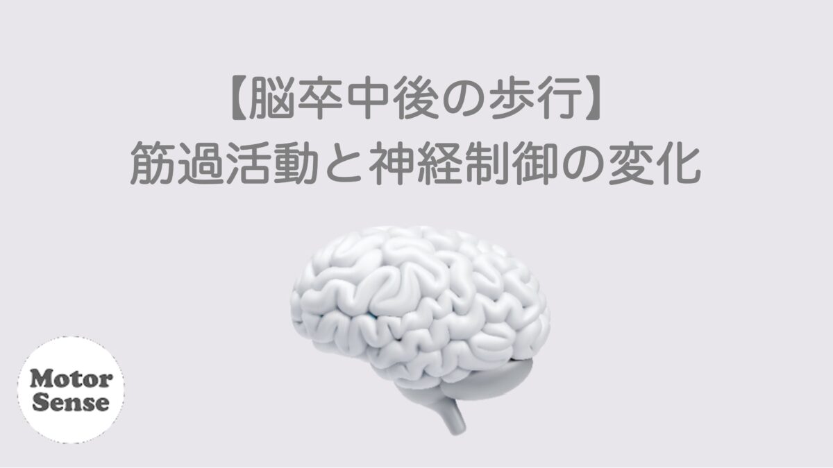 【脳卒中後の歩行】筋過活動と神経制御の変化　整体／リハビリ【十勝帯広】