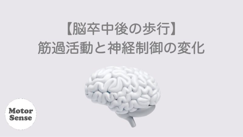 【脳卒中後の歩行】筋過活動と神経制御の変化　整体／リハビリ【十勝帯広】